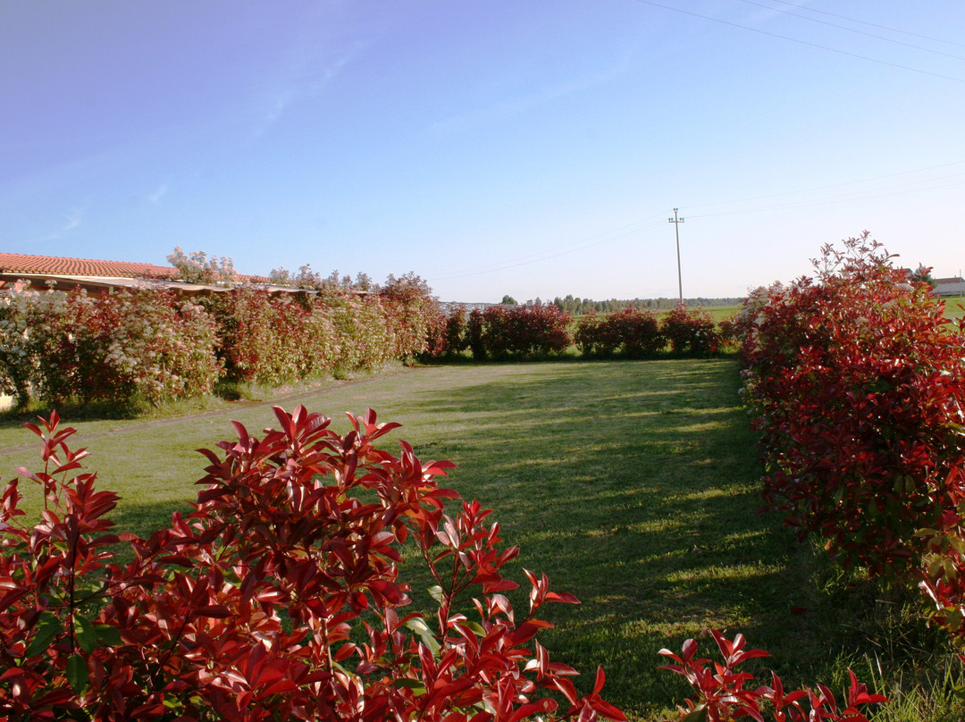 Agriturismo casa Panetta主图