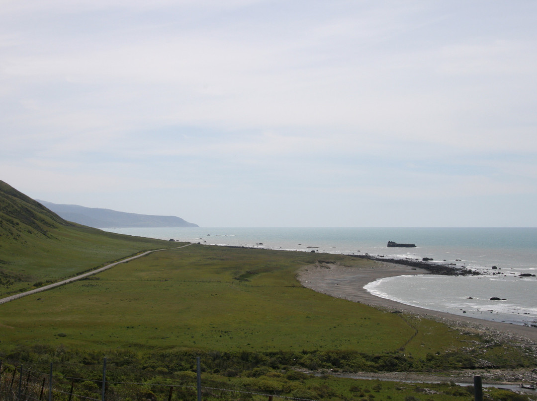 Lost Coast Scenic Drive-Ferndale必去景点