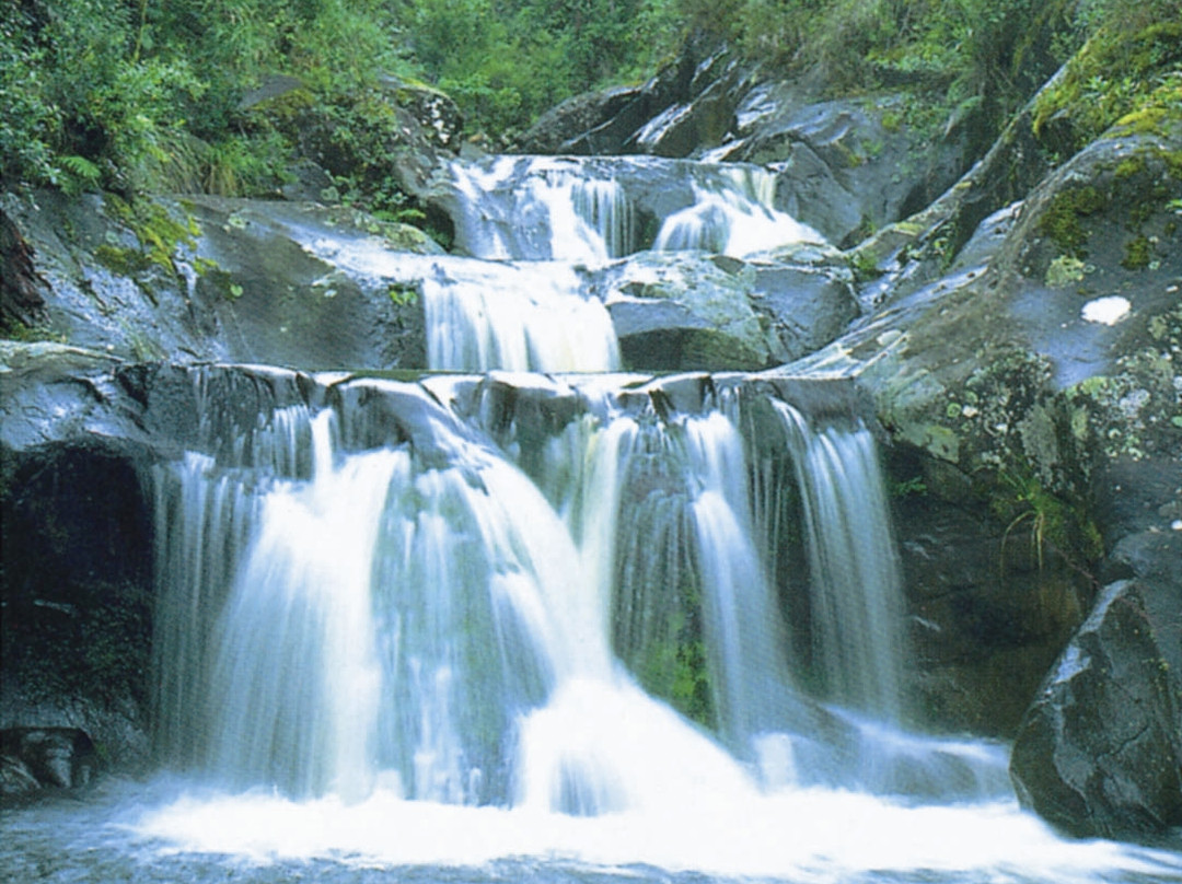 Thames旅游攻略图片