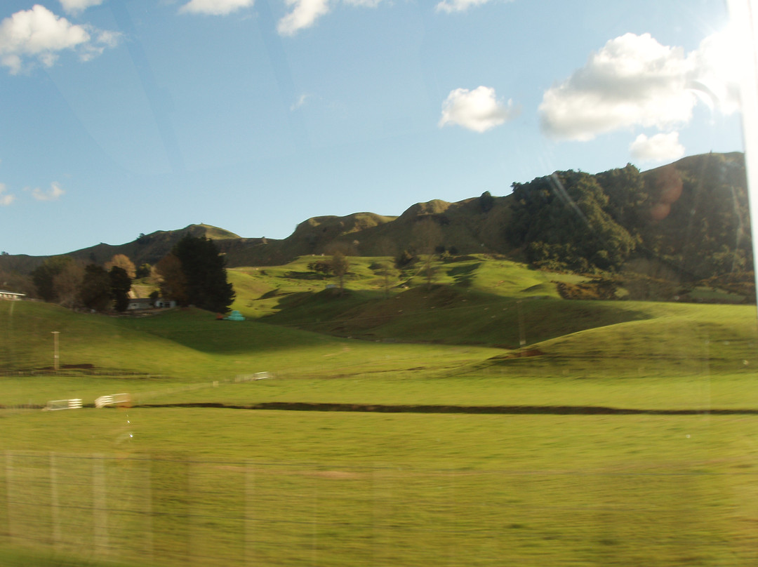 Milestone Tours-奥克兰中心地区必去景点