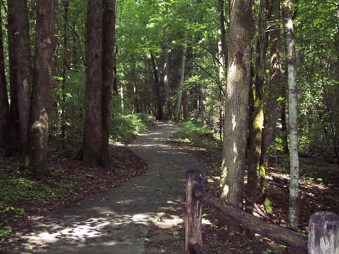 Sugarlands Valley Nature Trail-大雾山国家公园必去景点
