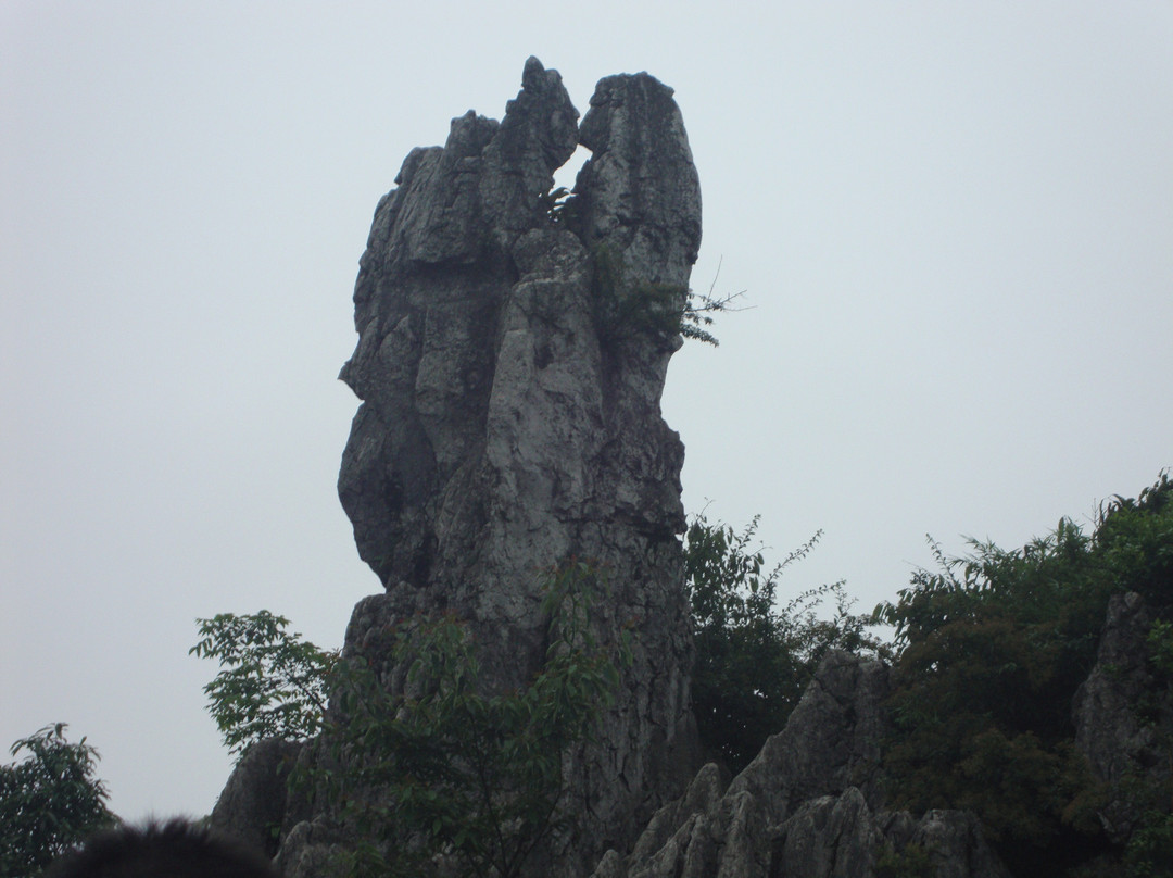 重庆华蓥山景点图片