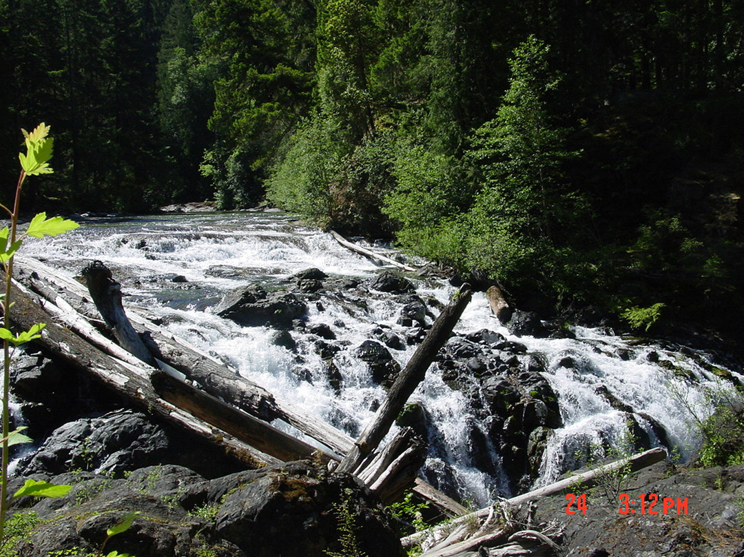 Englishman River Falls Provincial Park景点图片