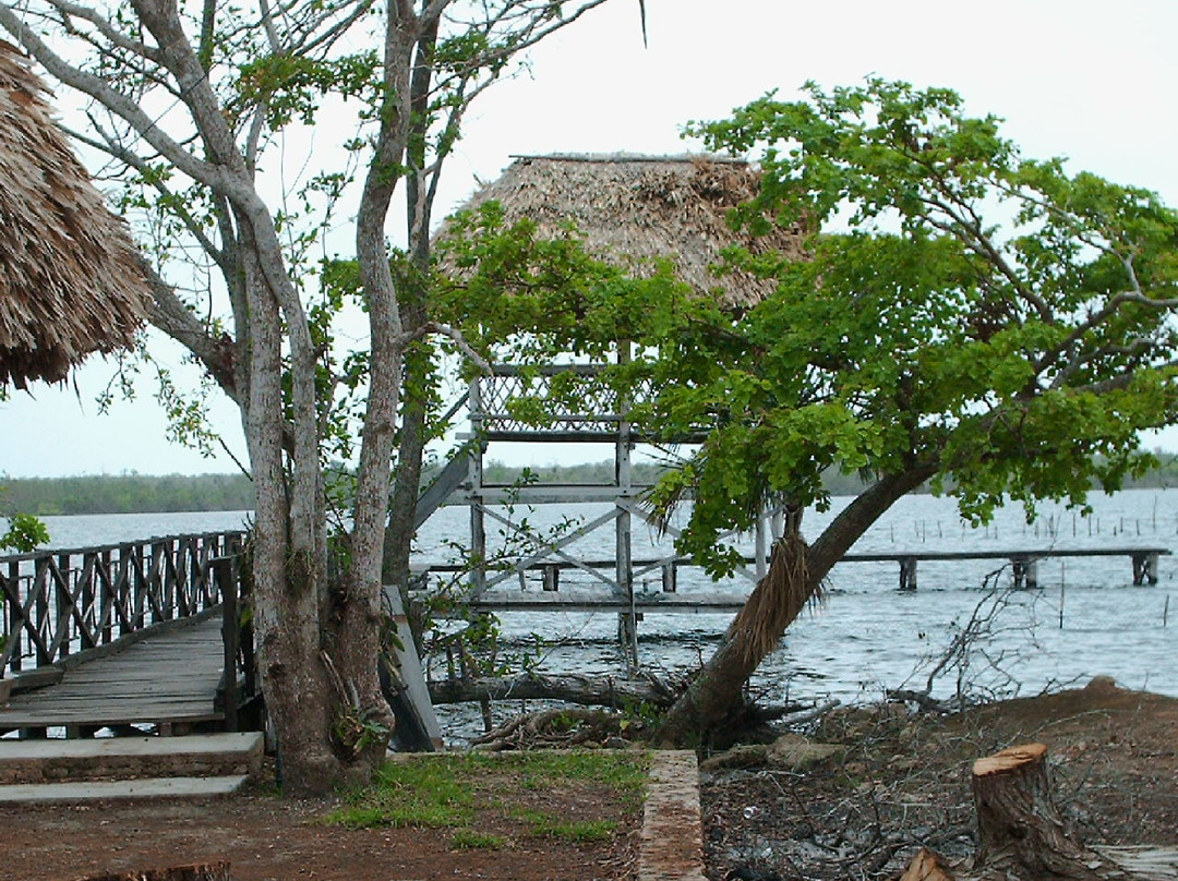 Santuario del Manatí景点图片