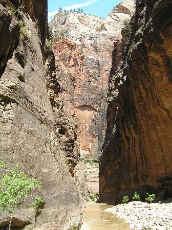 纽约湾海峡-锡安国家公园必去景点