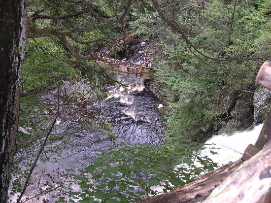 Bushkill Falls景点图片