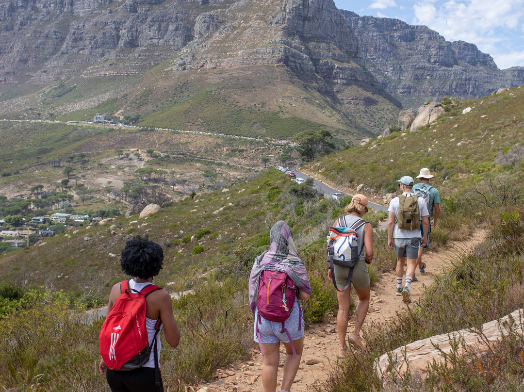 The Mountain-to-sea Adventure-开普敦必去景点