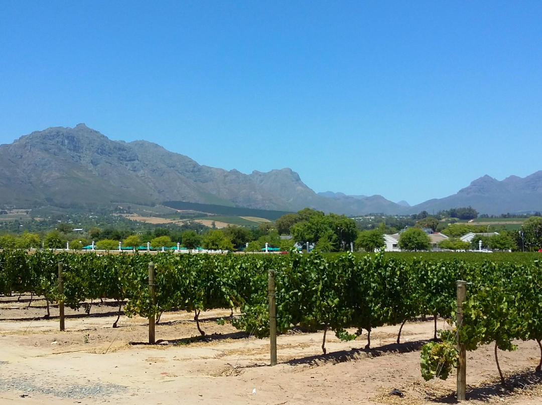 Slow Market Stellenbosch-斯泰伦博斯必去景点