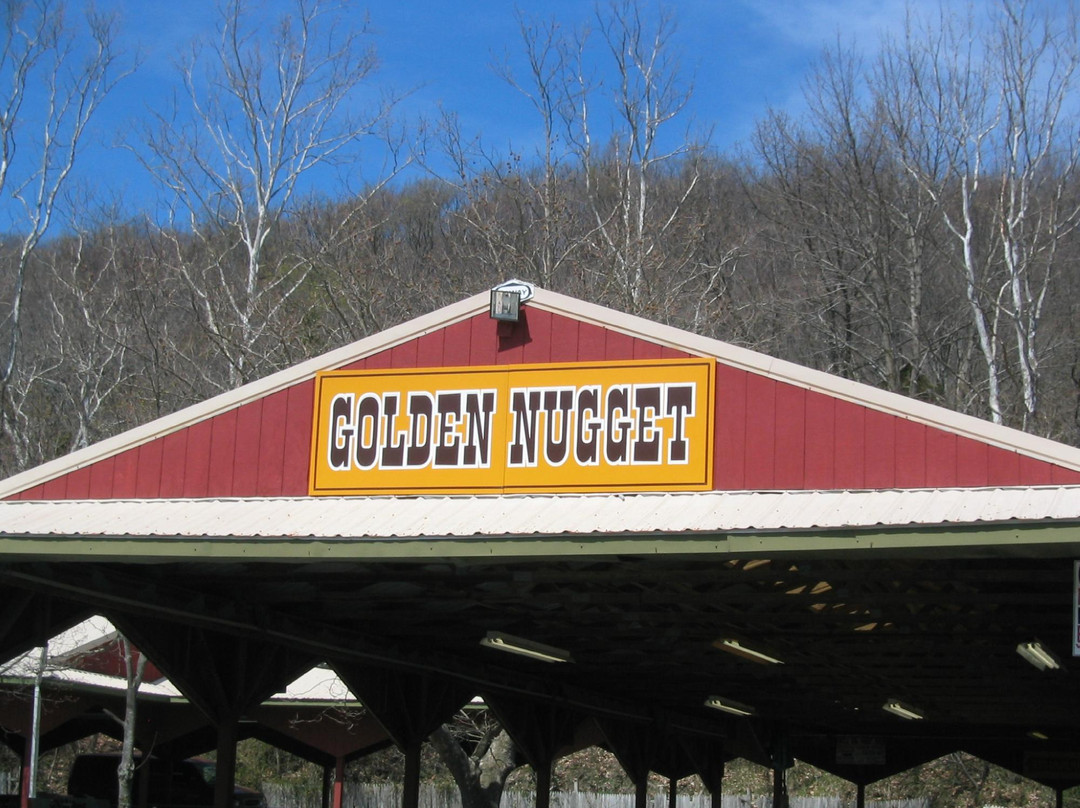 Golden Nugget Antique Market-Lambertville必去景点
