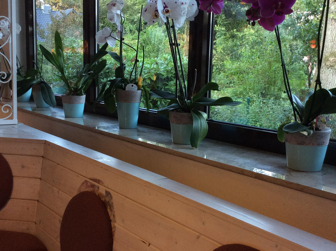 Tiste餐馆和美食-Heidenauer Hof