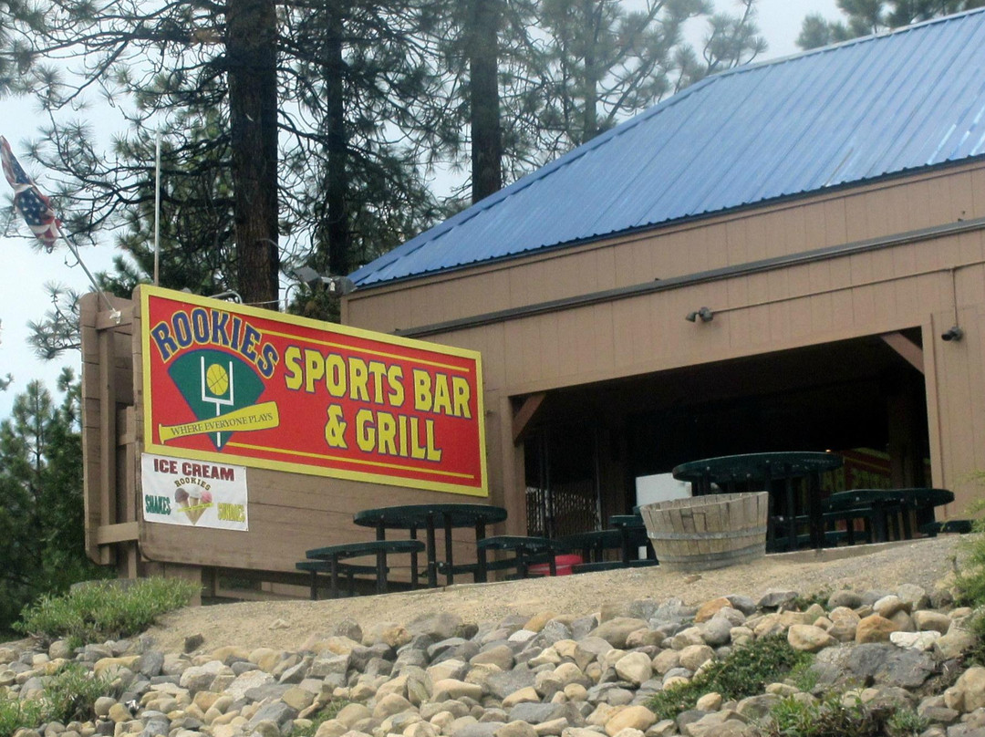 rookies sports bar and grill