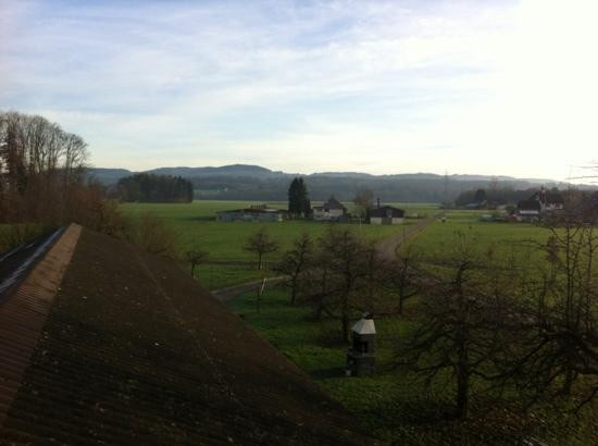 Hinterschoren