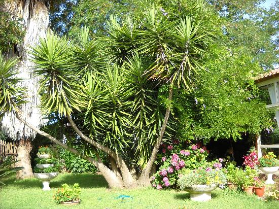 B&B Granja Rosa-客卧