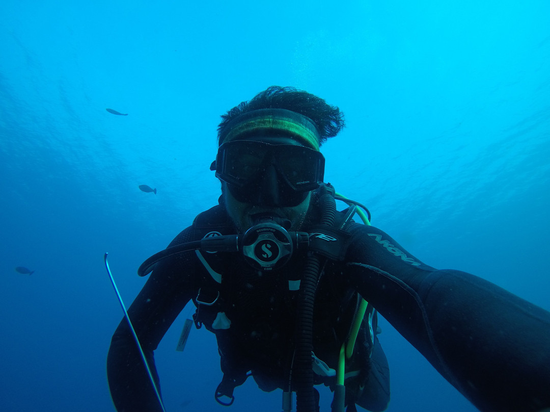 Cn Dive Komodo景点图片