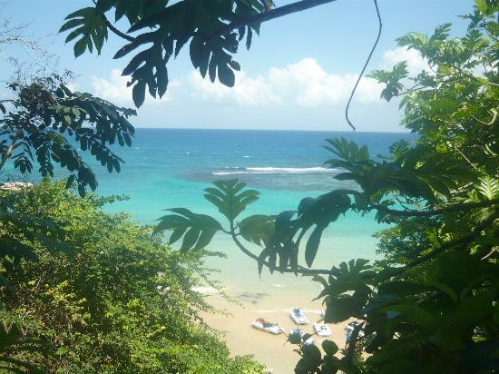 Grand Jamaica and Dunns River Falls Tour-法尔茅斯必去景点