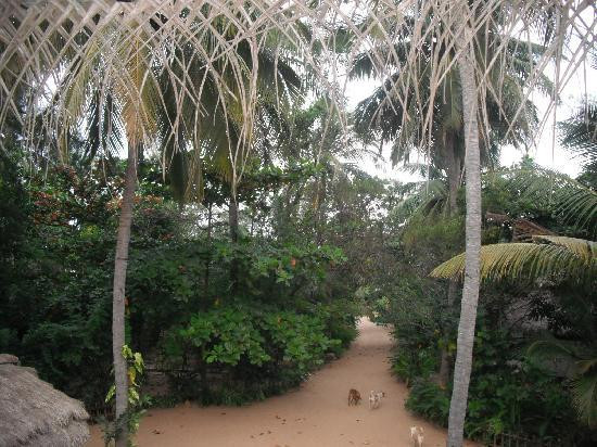 Arugam Bay-阿鲁甘湾必去景点
