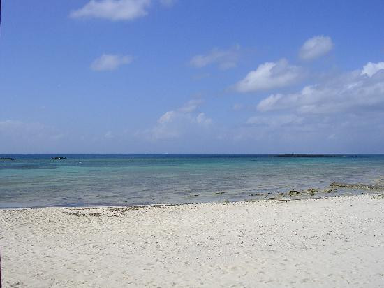 Paradise Cove-弗里波特必去景点