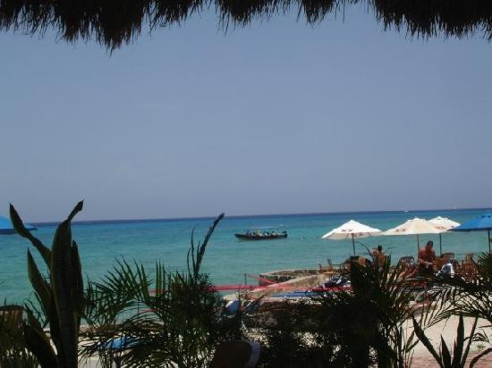 The Money Bar Beach Club-考祖梅必去景点