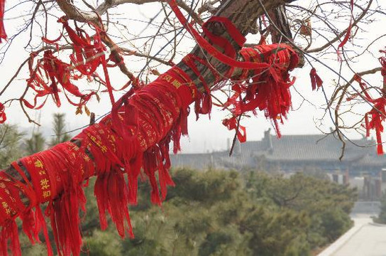 新泰莲花山-新泰市必去景点