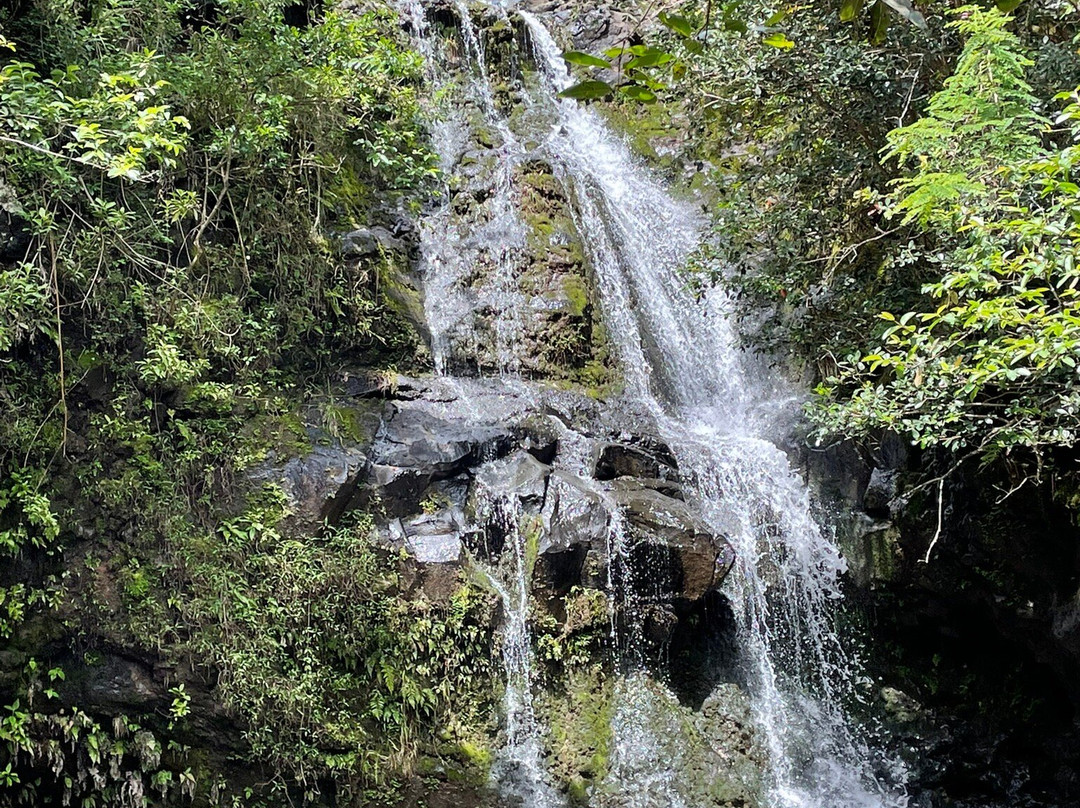 Waimano Pool Trail-珍珠市必去景点