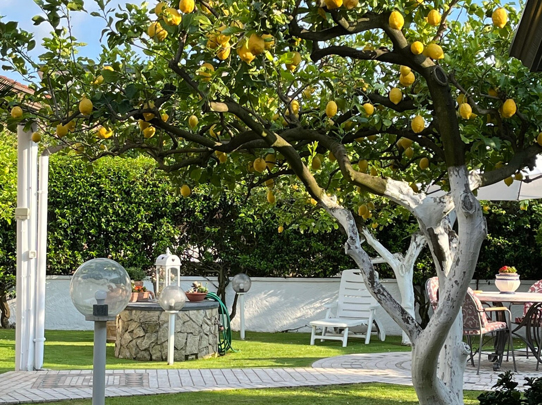 Villa Cecilia主图