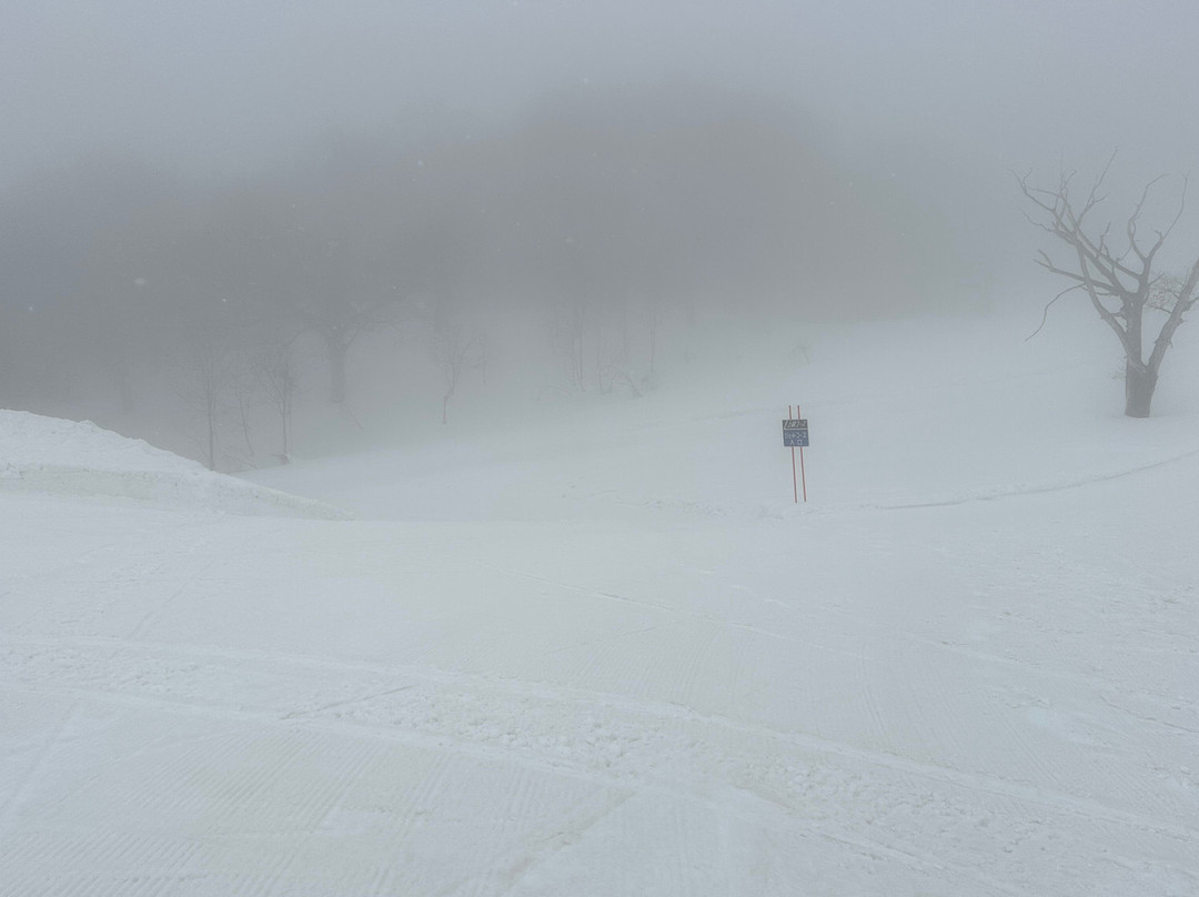 Togari Onsen Ski Resort-饭山市必去景点