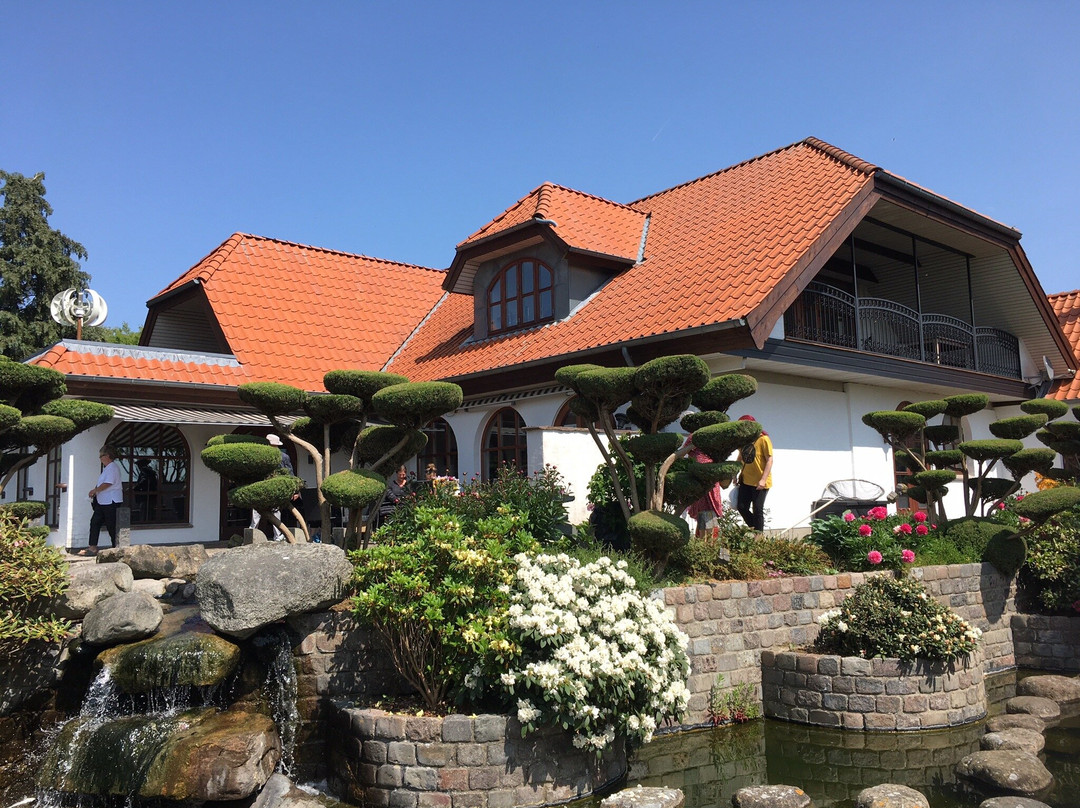 Zen Garden景点图片