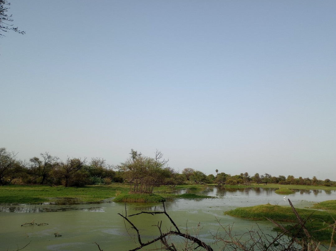 Bharatpur Bird Sanctuary景点图片