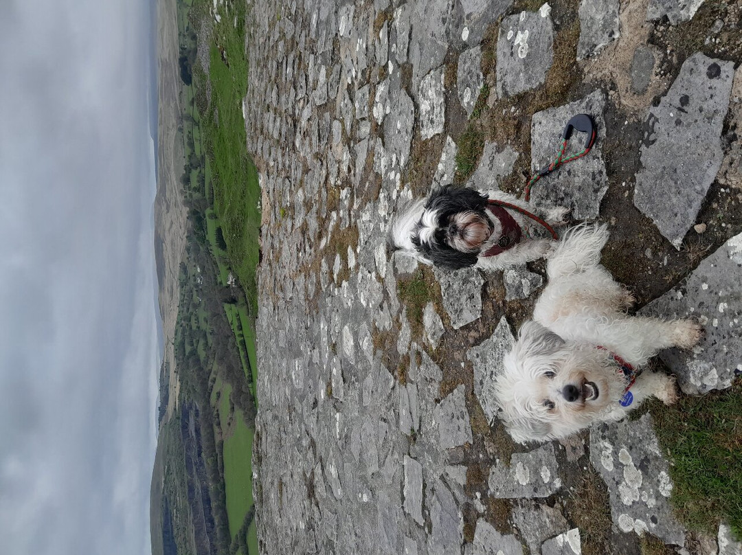 Morlais Castle景点图片