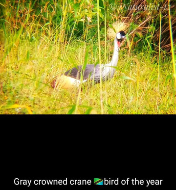 WINNERS EXPEDITIONS - TOURS AND SAFARIS Co LTD-莫西必去景点