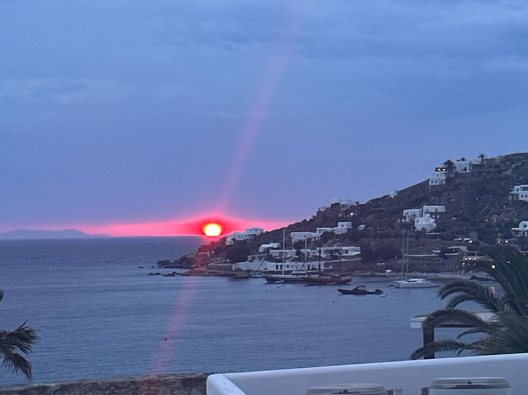 阿基欧斯罗安妮斯餐馆和美食-Symposium Restaurant Mykonos