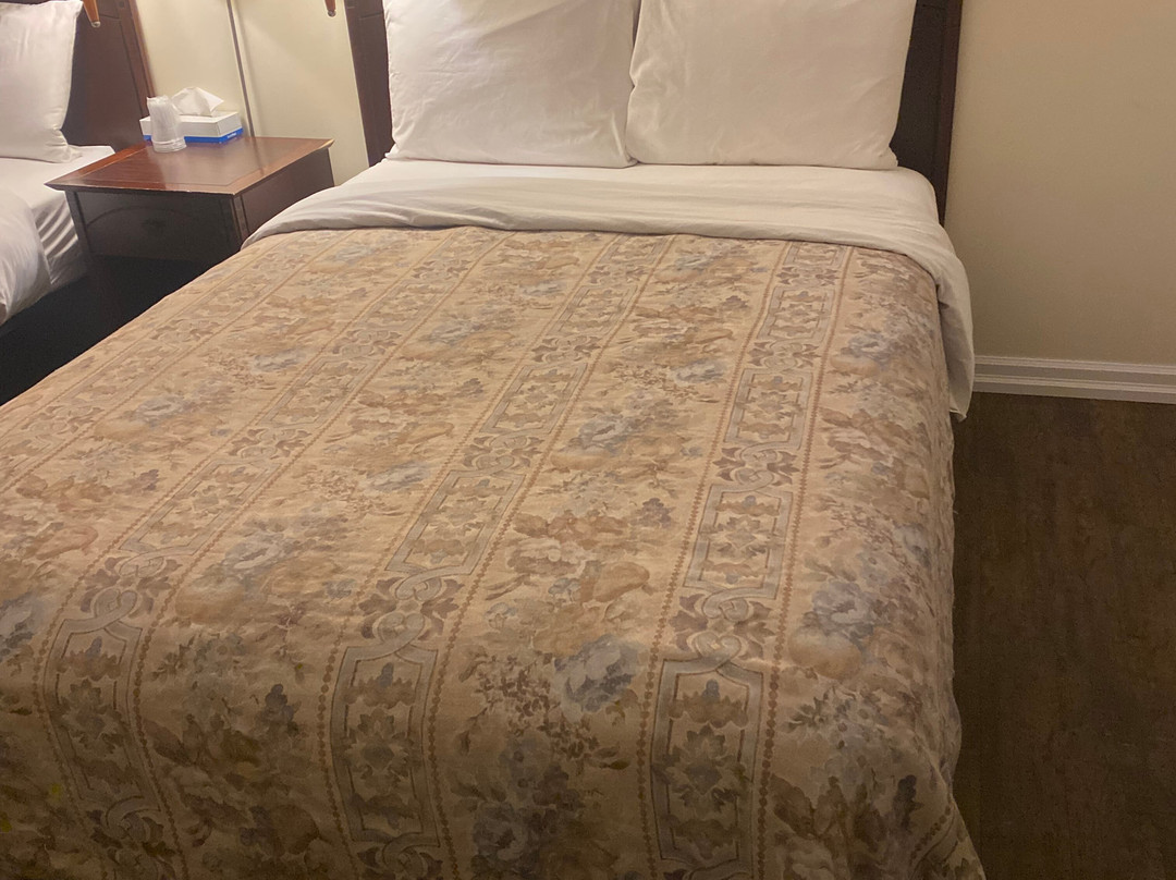 Coach House Inn主图