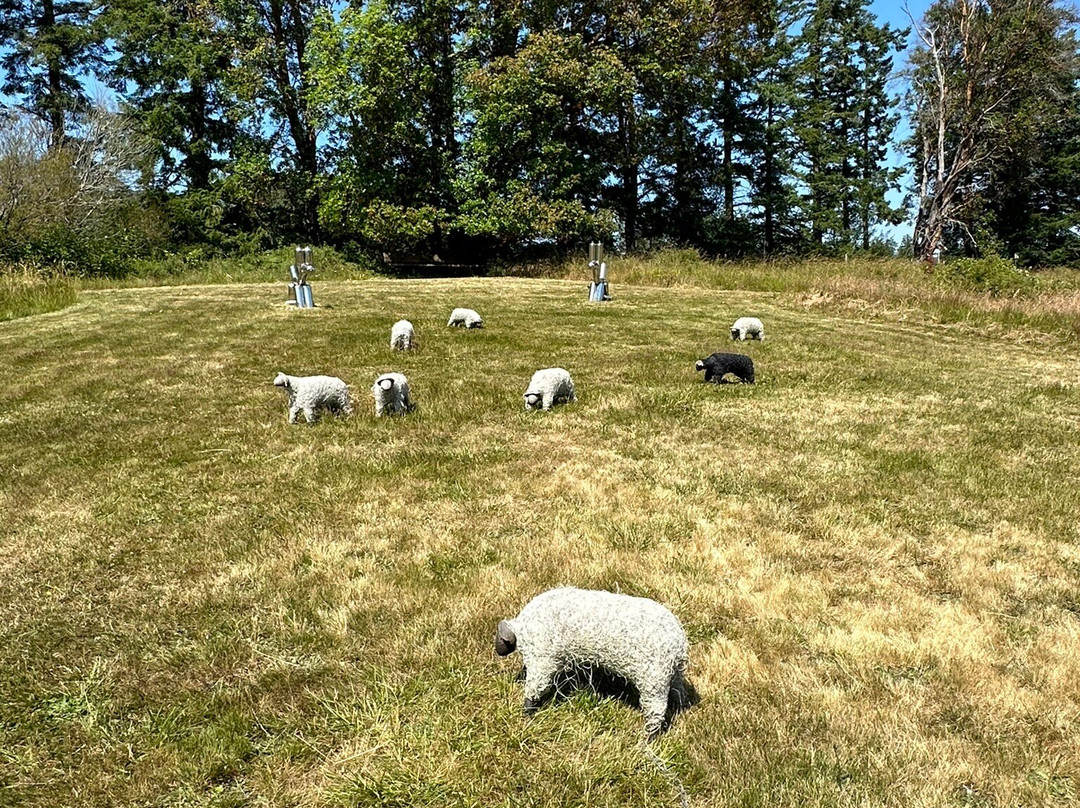 San Juan Islands Sculpture Park景点图片