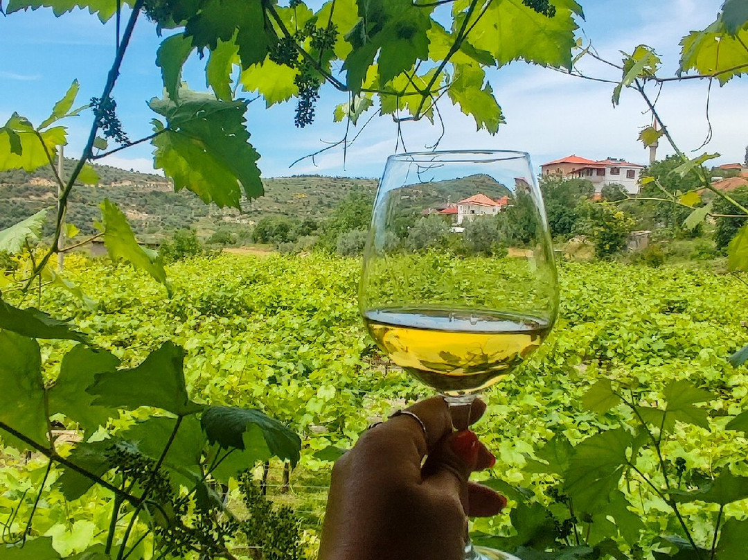 Alpeta Agrotourism & Winery景点图片
