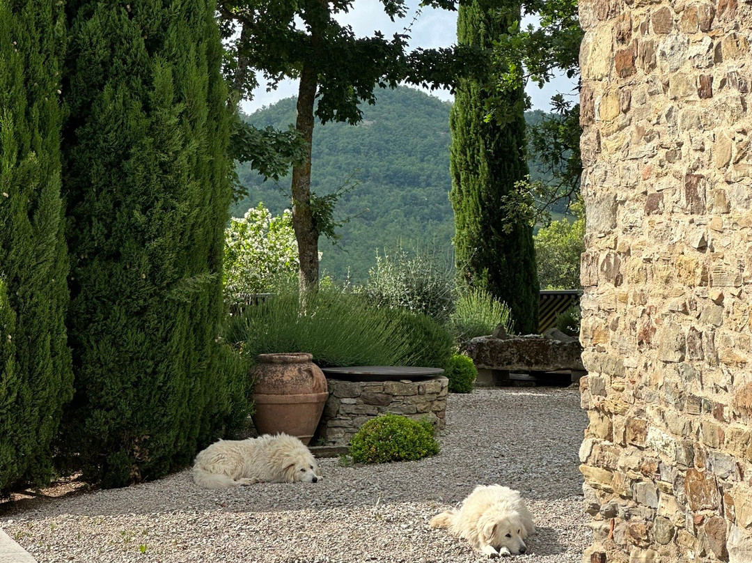 Torre di Moravola主图