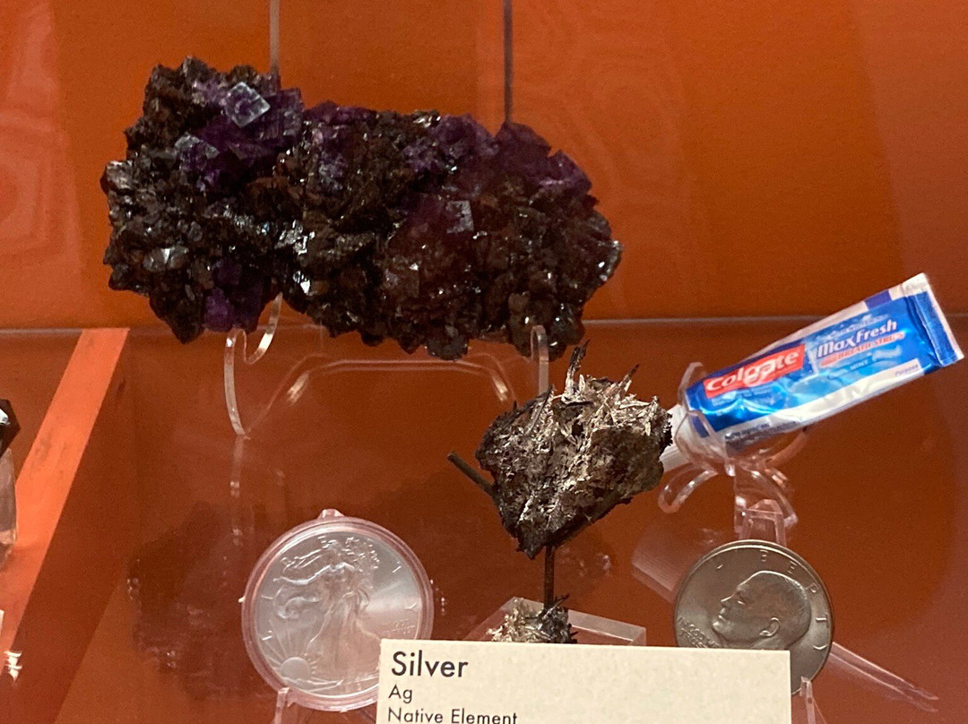 Sternberg Museum of Natural History-Hays必去景点