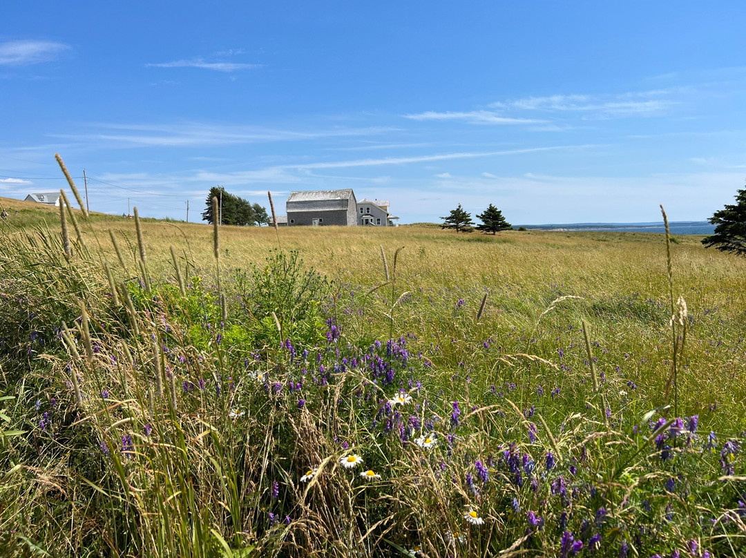 Hillcrest Hall Country Inn主图