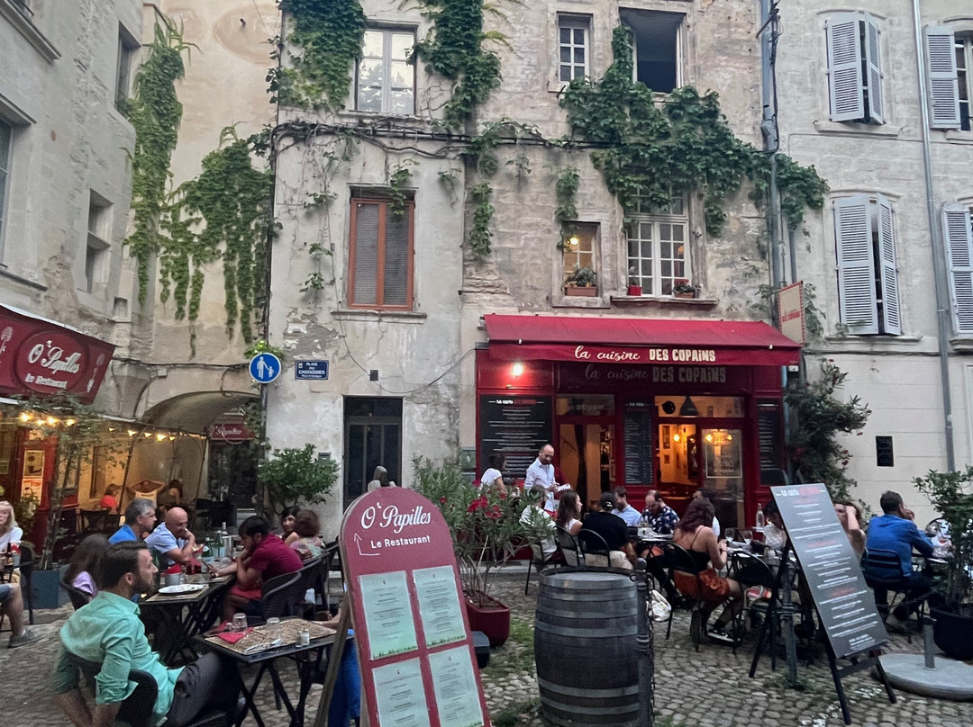 Remparts d'Avignon景点图片