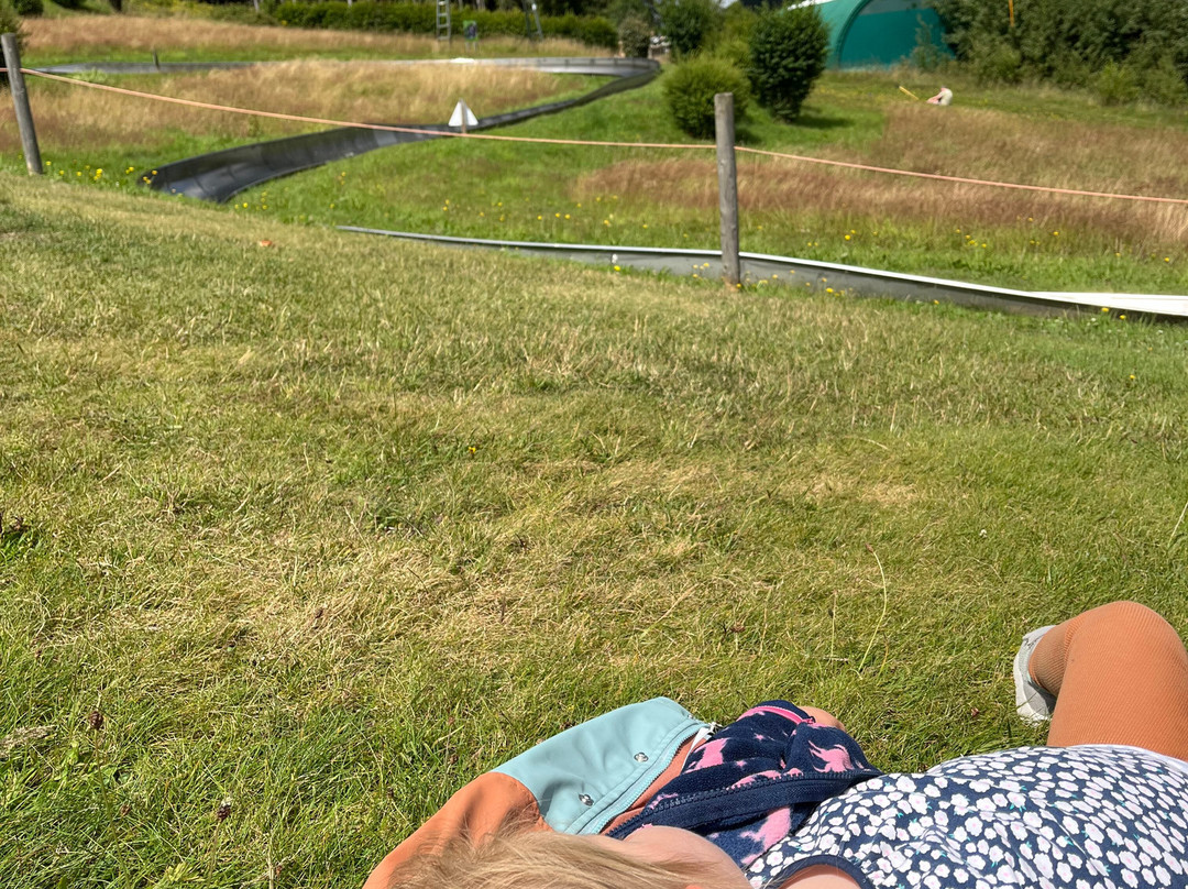 Sommerrodelbahn Willingen-Willingen必去景点