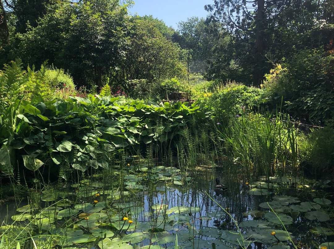 弗莱彻莫斯公园和植物园-曼彻斯特必去景点