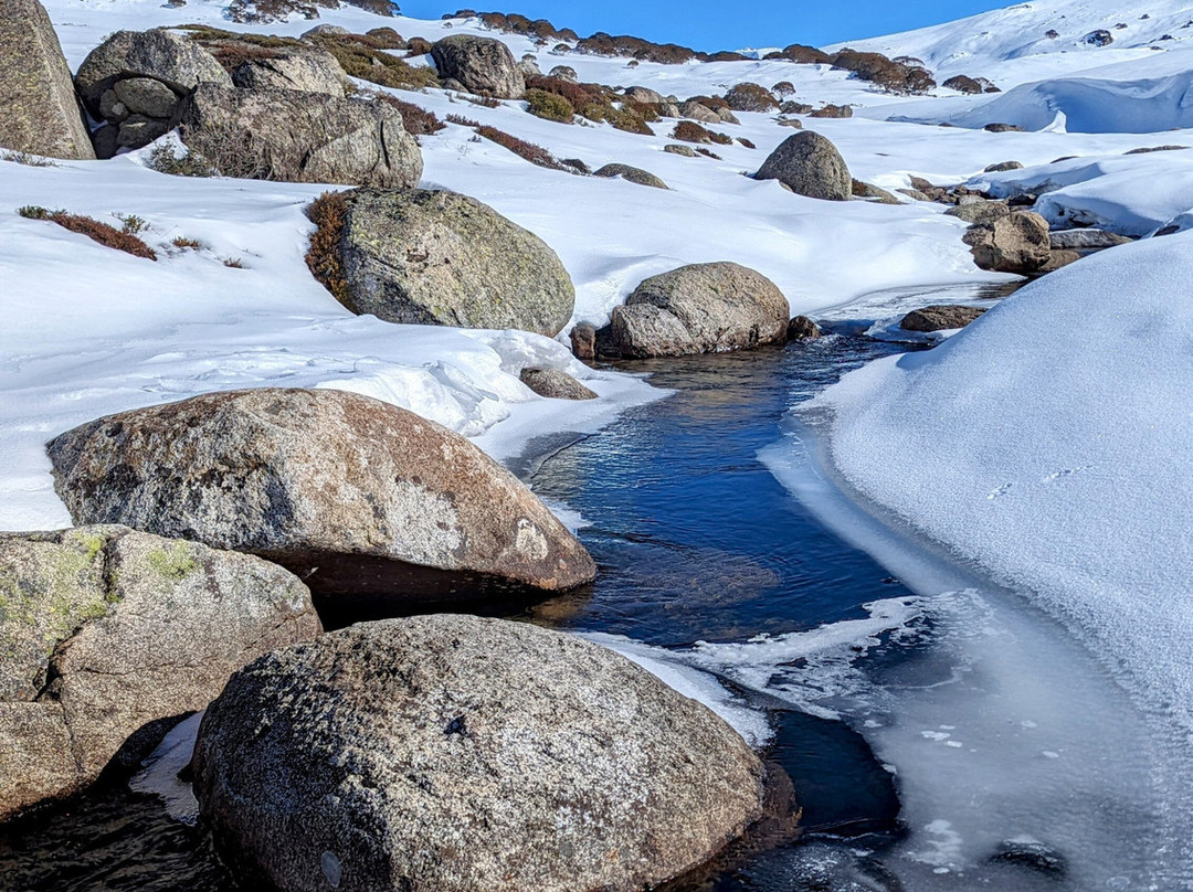 Stillwell Hotel主图