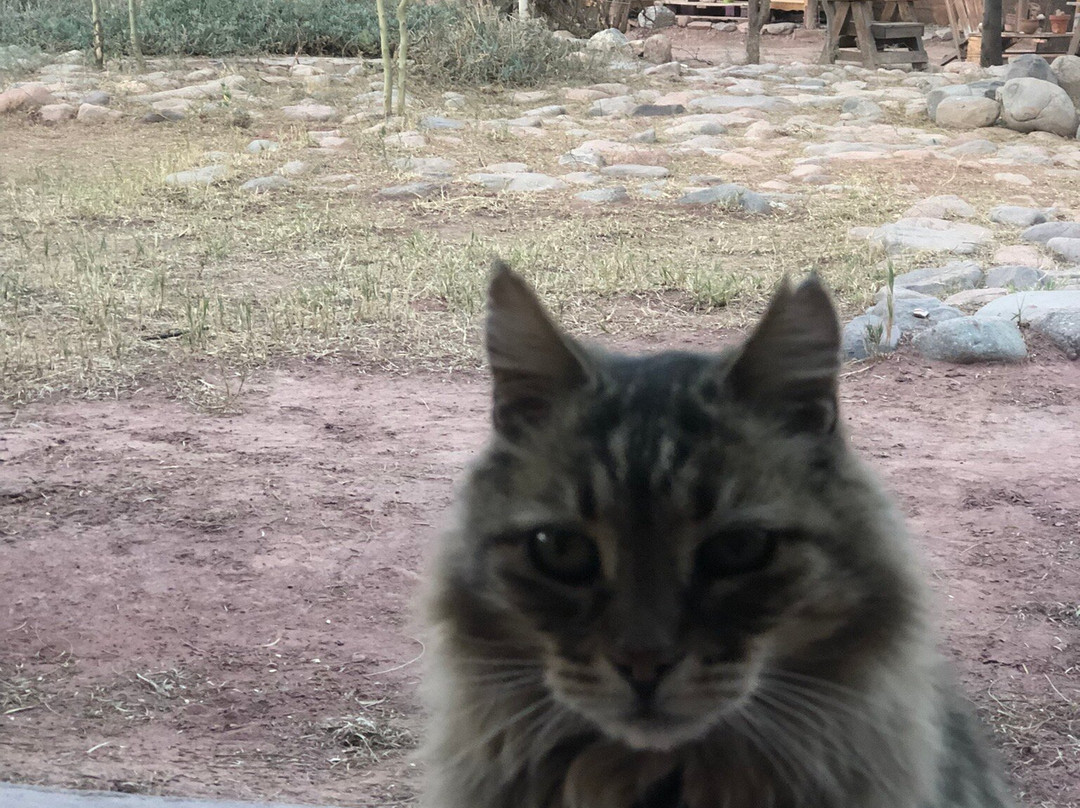 Chakana Hospedaje Rural主图