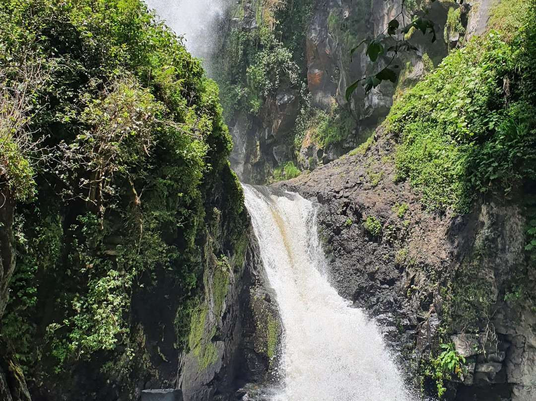 Cascadas Tuliman景点图片