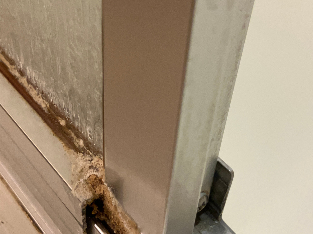 Holiday Inn Express & Suites Hays by IHG主图