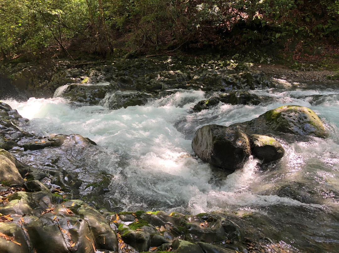 Deai-daru Falls Kawazu Nanadaru Waterfalls景点图片