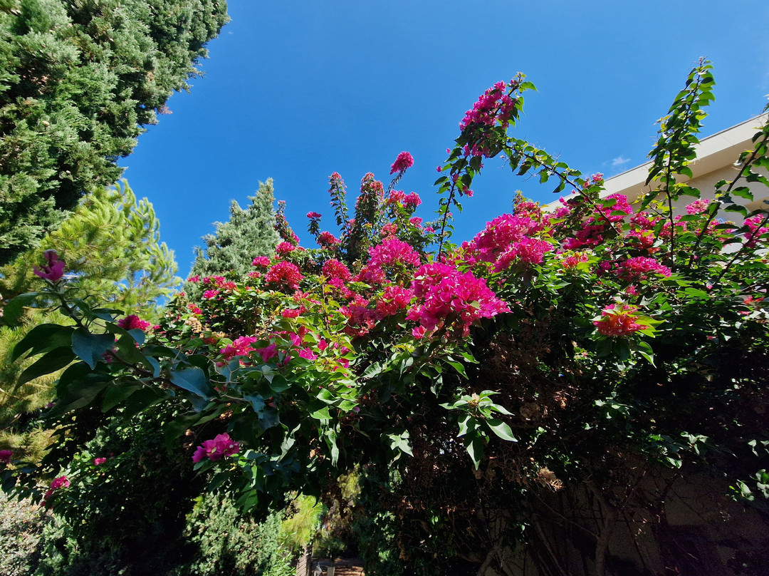 Sikyon Coast Hotel & Resort主图