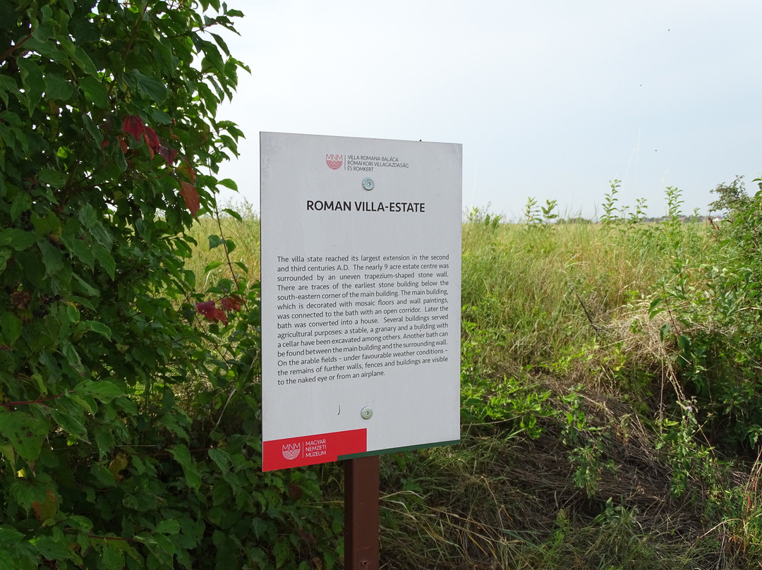 Villa Romana Balaca景点图片