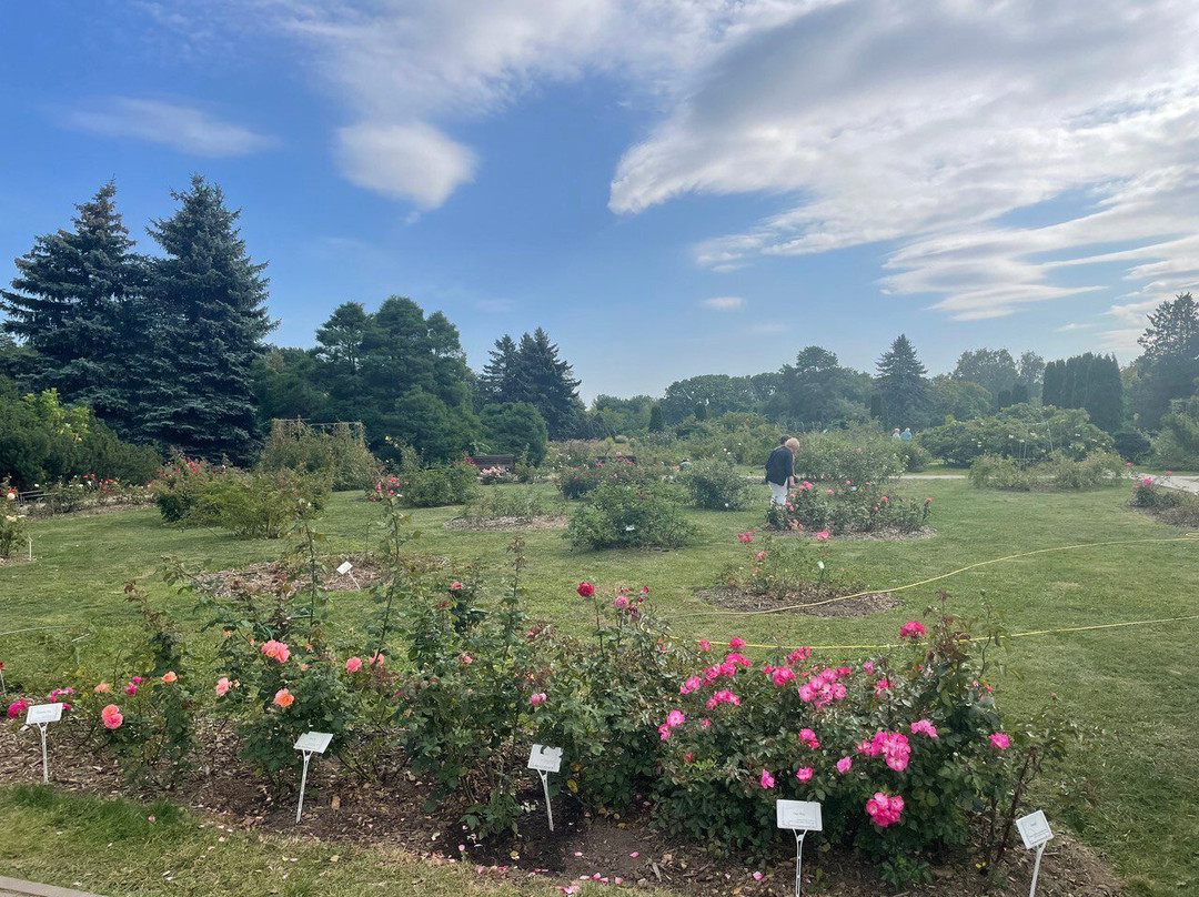 Central Botanical Garden of the National Academy of Sciences of Belarus-明斯克必去景点