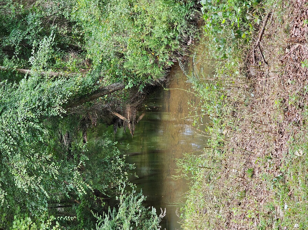 The Carrollton GreenBelt-卡罗尔顿必去景点