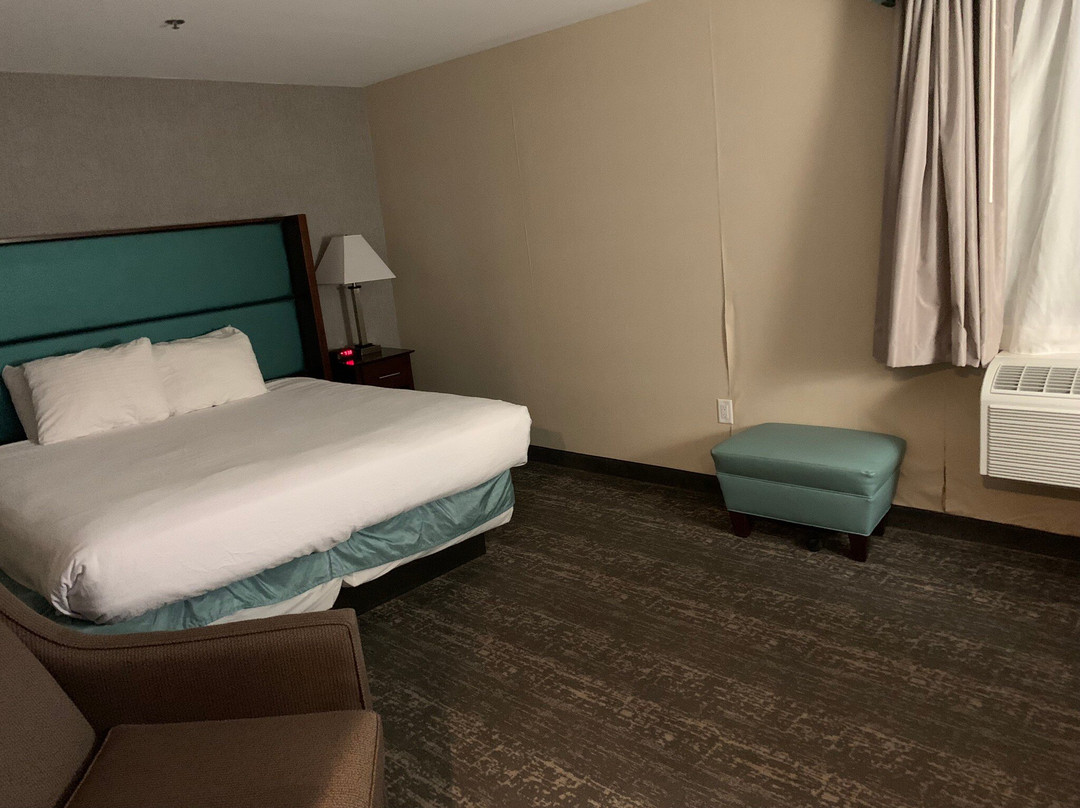 Best Western Hampshire Inn & Suites主图